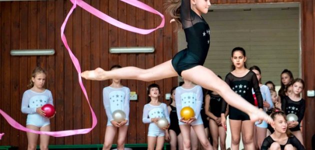 Acrobatics machine silhouette Gimnastică ritmică | Fit Kids Club